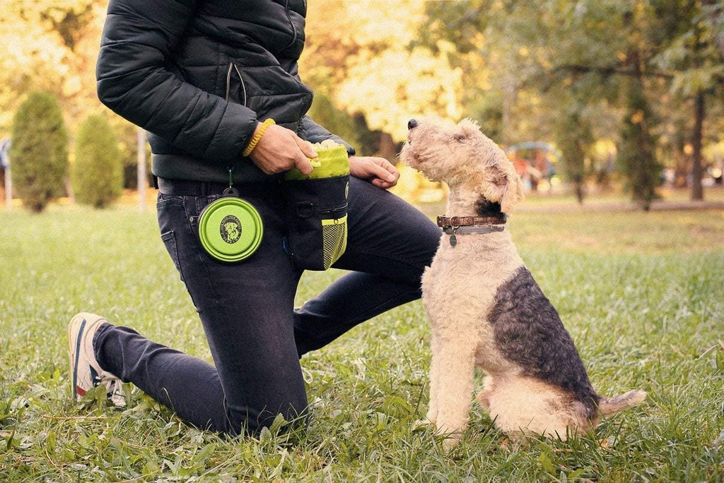 Dog Treat Pouch for Training & Walking, Pet Treat Bag with Poop Bag Dispenser, Pro Clicker, Collapsible Travel Bowl & Reflective Shoulder Strap - Black/Green