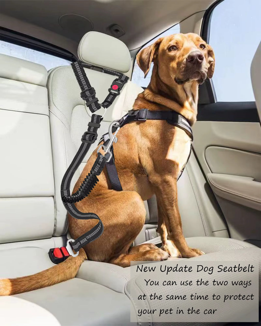 Dog Seat Belt,Updated Dual-Use Dog Seatbelt for Vehicle Headrests, Dog Car Leash - Bungee Retractable Adjustable for Your Pet, P